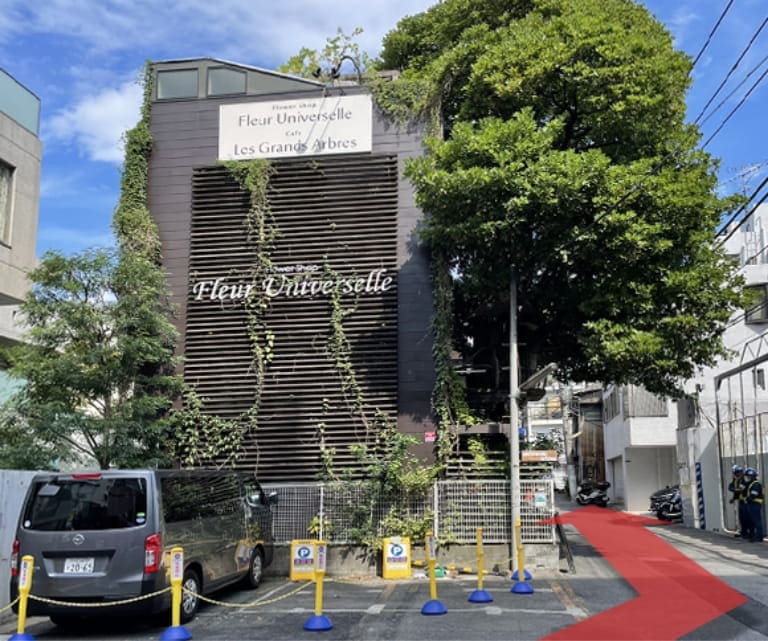 道なりに歩いていくと、ツリーハウスがあります。