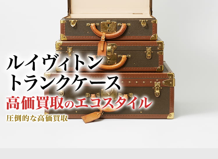 LOUIS VUITTON コンステラシオン コトヴィル50 トランクケース LOUIS VUITTON コンステラシオン コトヴィル50 トランクケース