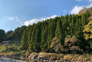 エコスタイル 鑑定士　岩田 進之介