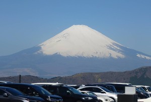 エコスタイル浜松入野店 鑑定士 富田 暁