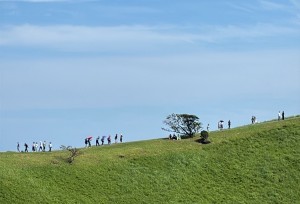 エコスタイル 鑑定士　小川 桜