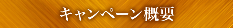 キャンペーン概要