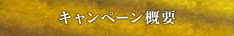 キャンペーン概要