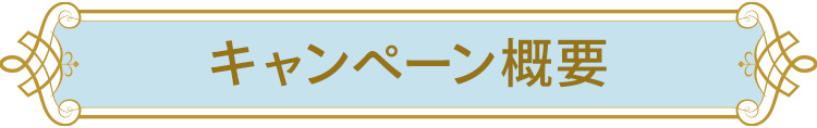 キャンペーン概要