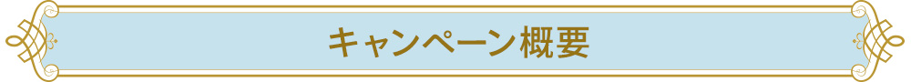 キャンペーン概要