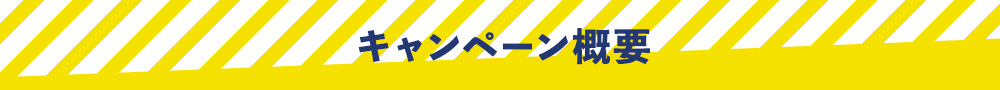 キャンペーン概要