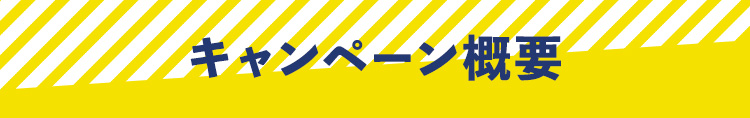 キャンペーン概要
