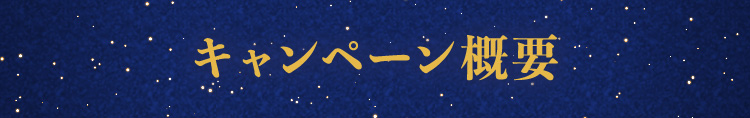 キャンペーン概要