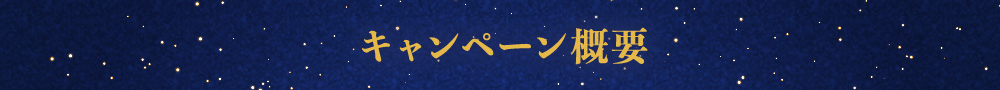 キャンペーン概要