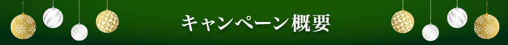キャンペーン概要
