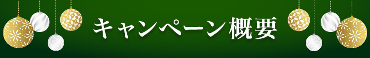 キャンペーン概要