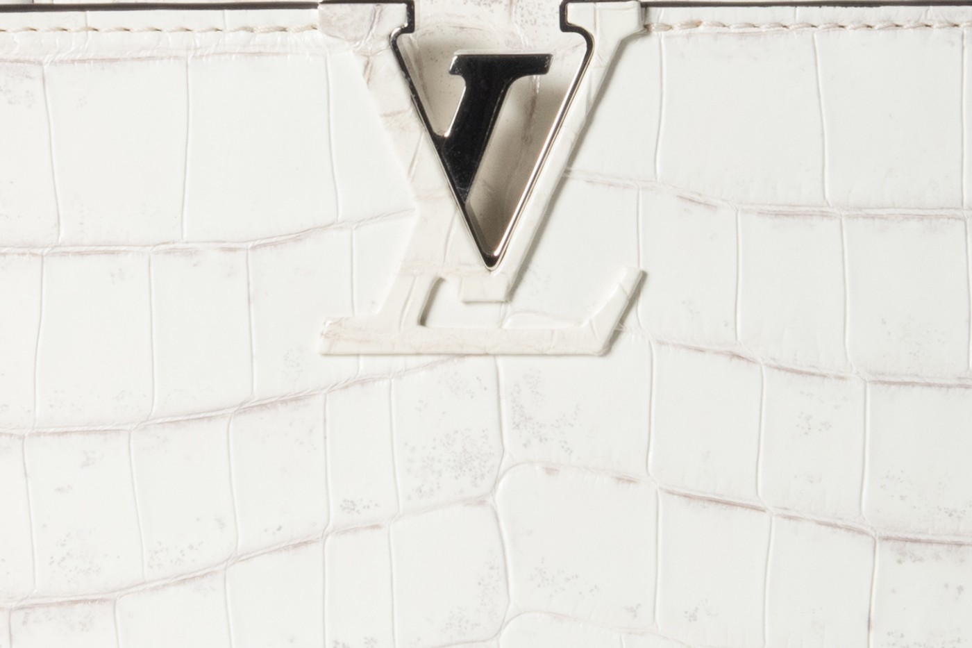 クロコダイル(アリゲーター)