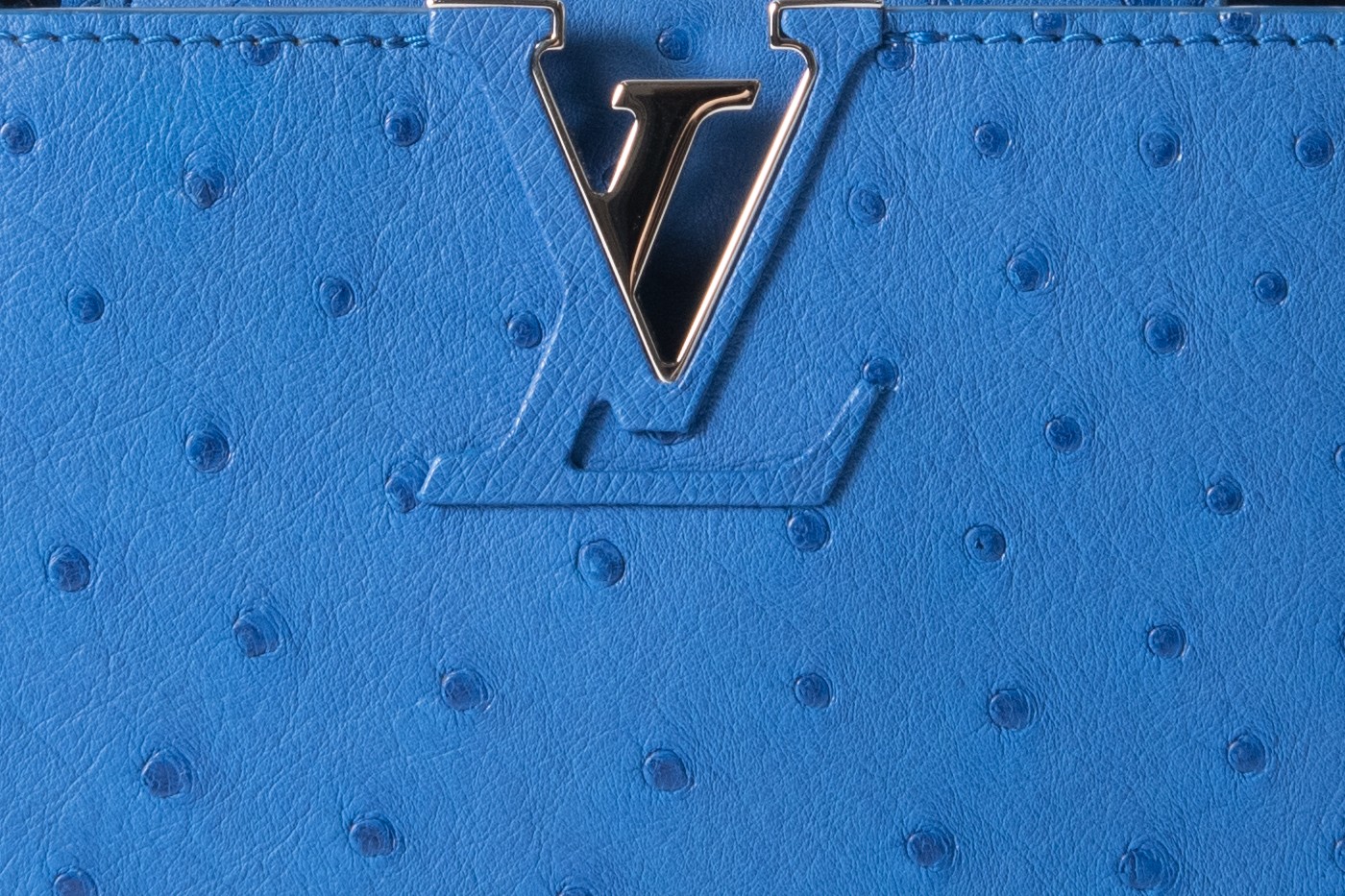 オーストリッチ