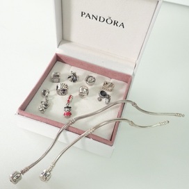 パンドラのシルバーチャーム9点、ブレスレット2点の買取実績です。