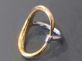 シャルロットシェネの16BA013VEAR SV925 BAGUE TURTLE タートルリングの買取実績です。